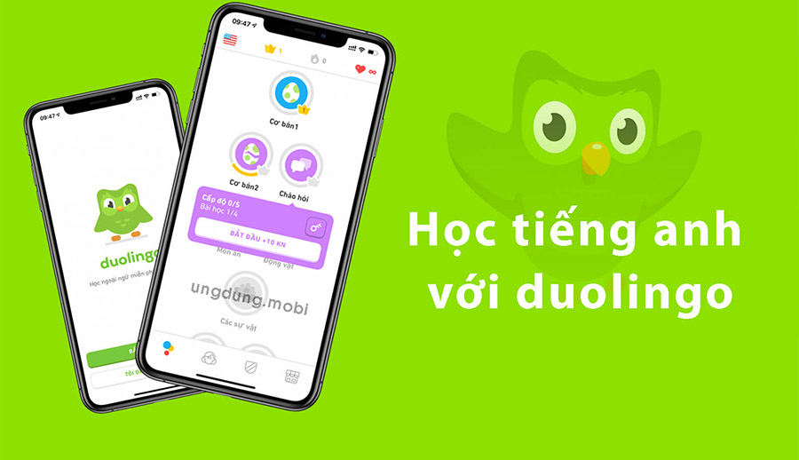 Ứng dụng Duolingo học tiếng Anh