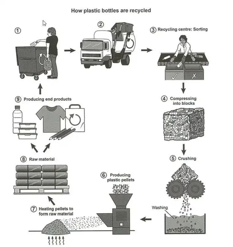  Luyện tập viết Writing Task 1