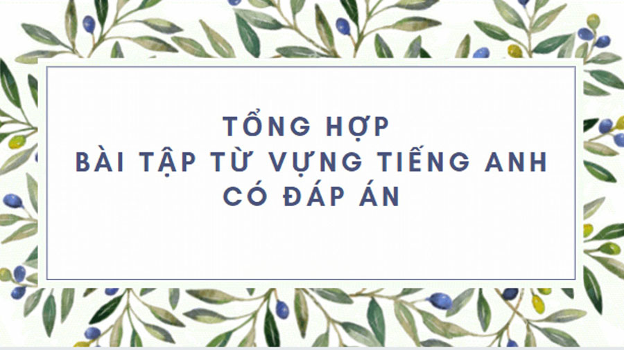 Từ vựng tiếng Anh cơ bản cho người mất gốc