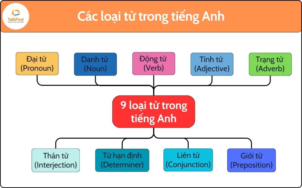 9 từ loại trong tiếng Anh