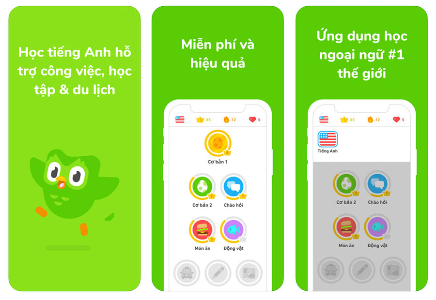 Ứng dụng học từ vựng tiếng Anh Duolingo