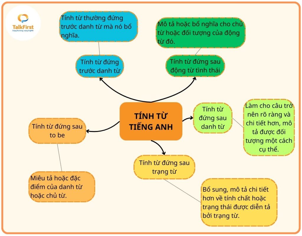 Các loại tính từ trong tiếng Anh