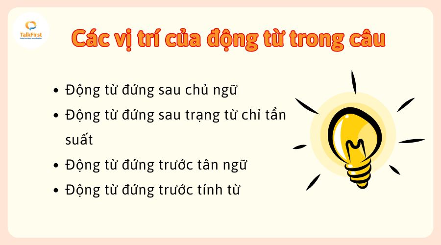 Vị trí động từ trong tiếng Anh