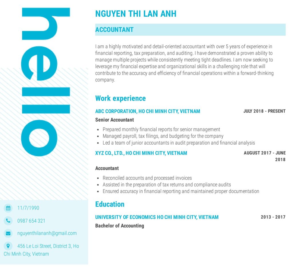 Mẫu CV tiếng Anh 4