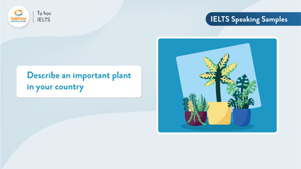 Describe an important plant in your country