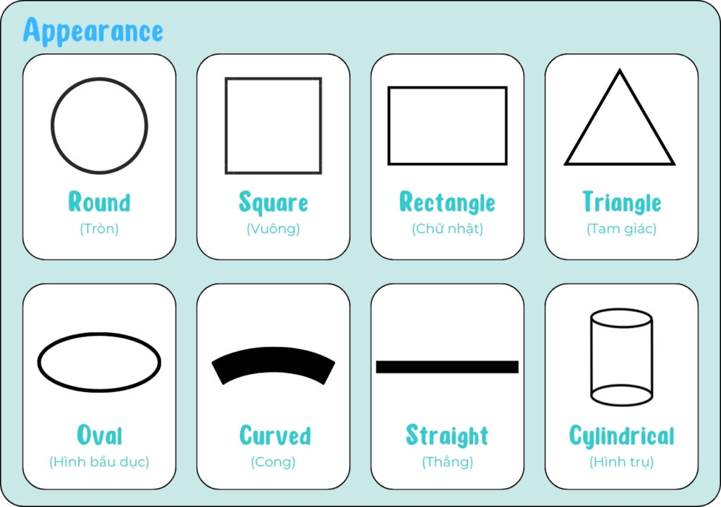 Từ vựng tiếng Anh chủ đề về hình dạng (Appearance)